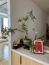 -Your Yoga Pilates·瑜伽普拉提习练室