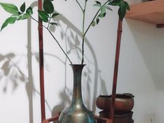 -茶是一枝花泡茶店