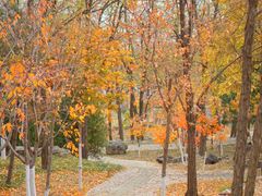 -阳台山自然风景区