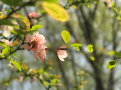 -钟山体育运动公园