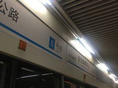 -东方体育中心(地铁站)