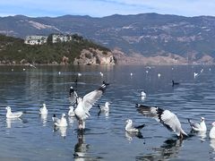 -丽江泸沽湖景区