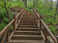 -大岭沟猕猴桃谷风景区