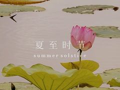 -南翔镇银翔湖公园