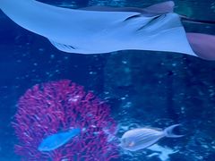 -沈阳海洋探索中心