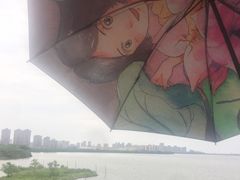 -艾溪湖湿地公园