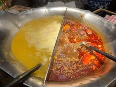 台式麻辣花胶鸡鸳鸯锅-湊湊火锅·茶憩(世博大道店)