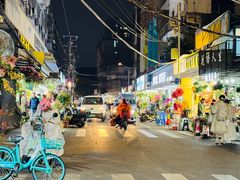 -溪岸路花鸟市场