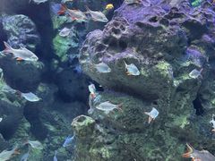 -成都浩海立方海洋公园