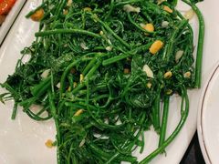 树菜-美极鲜食坊(宝安南路店)