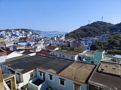 -枸杞岛