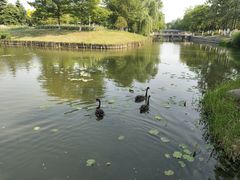 -江南大学(蠡湖校区)
