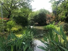 -和茶馆(西溪栖悦城店)