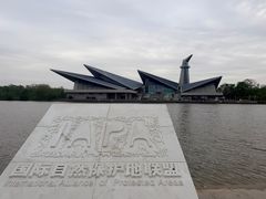 -盐城丹顶鹤湿地生态旅游区