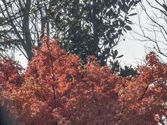 -太和山风景区