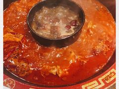 -蜀辣居鲜货老火锅(红牌楼店)