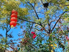 -南窖乡水峪村山情农家