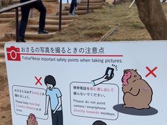 -岚山猴子公园