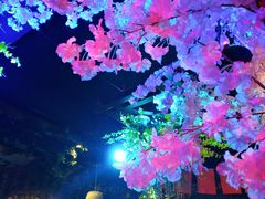 -网红丛林音乐烤吧