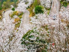 -黄贤森林公园