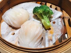 隆隆金虾饺皇-隆隆金大茶楼(地王广场店)