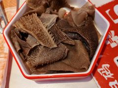 -董记老清泉·鲜切涮羊肉(窑岭店)