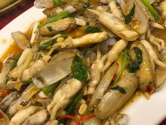 指甲蚌-天天海鲜城·海鲜大排档(新溪店)