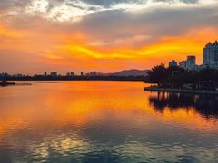 -白鹭洲公园