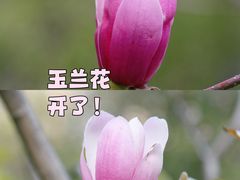 -广州珠江公园