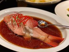 东星斑-上海苏宁宝丽嘉酒店·嘉府壹号中餐厅
