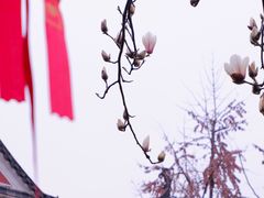-长春观