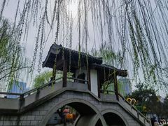 -团结湖公园