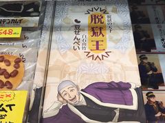 -网走流冰观光破冰船极光号