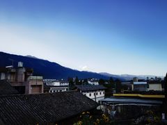 -喵屿·大理花园猫咖