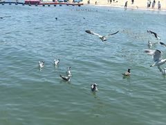 -海驴岛(荣成市)