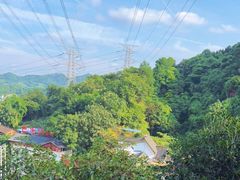 -巴倒烫陆派火锅山庄(南山总店)