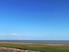 -南汇嘴观海公园