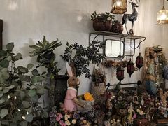 -春风·有糖(崇宁路店)