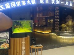 -一朵菌·野生菌探索家火锅(南亚店)