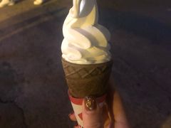 -富豪雪糕车流动点(尖沙咀店)