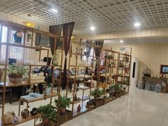 -素心斋素食餐厅