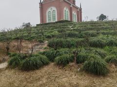 -都江堰玫瑰花溪谷