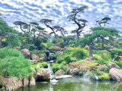 -罗红摄影艺术馆