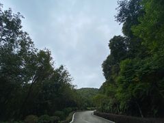 -广州市帽峰山景区
