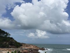 -广东惠东海龟国家级自然保护区