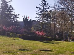 -棒棰岛宾馆景区