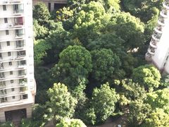 -新湖明珠城