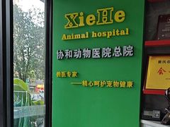 -瑞鹏瑞爱宠物医院·全科·猫科·血液透析中心(龙头寺店)
