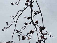 -广东外语外贸大学(白云山校区)