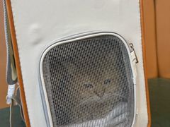 -联合动物医院(光谷诊疗中心)